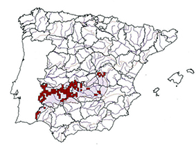 Luciobarbus (Barbus) microcephalus_mapa.jpg